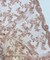 Dusty Rose Sequin Embroidered Lace Fabric by the Yard, 54" Wide Floral Mesh Lace with Double Scalloped Edges